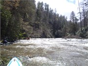 Spring Creek 55